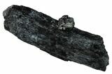 Lustrous Arfvedsonite Crystal - Malawi #169268-1